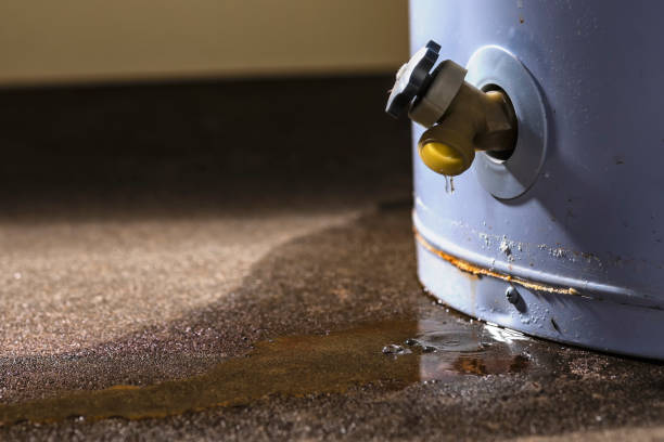 Best Sewage cleanup and water damage restoration  in Lakeland, TN