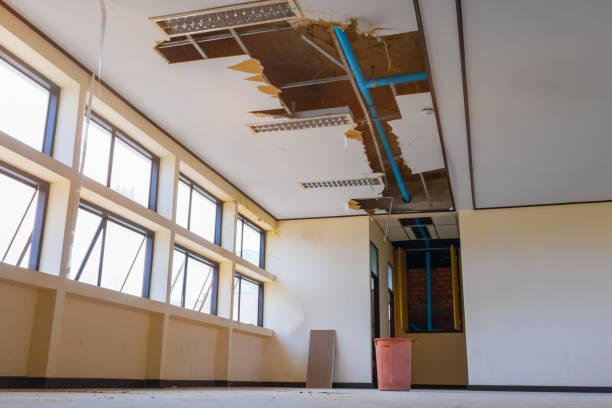Best 24/7 water damage repair  in Lakeland, TN