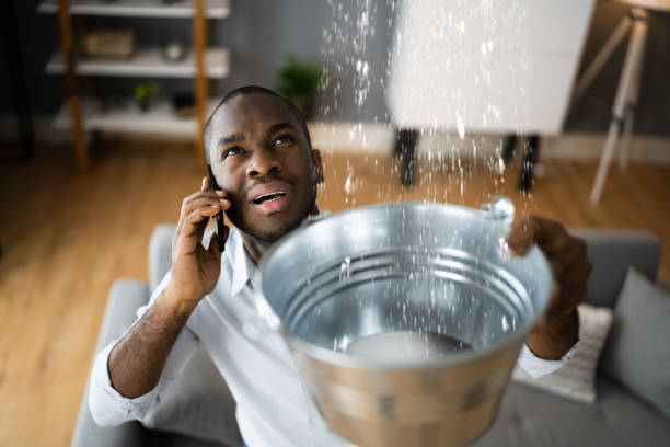 Best Flooded house restoration  in Lakeland, TN