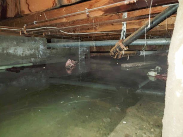 Best Ceiling water damage repair  in Lakeland, TN