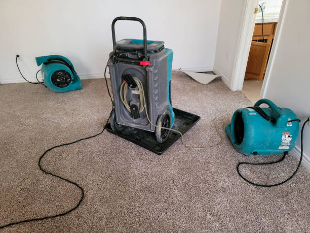 Best Carpet water damage restoration  in Lakeland, TN