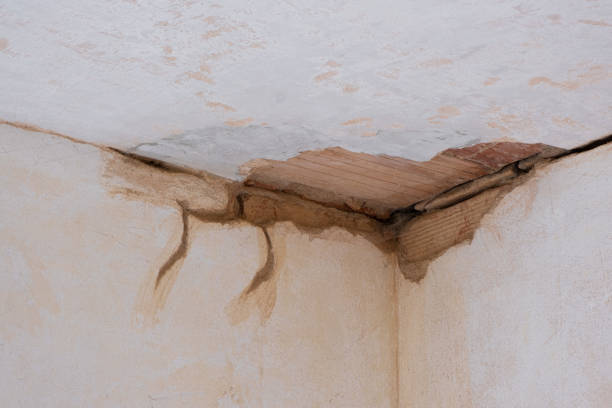 Best Fire Damage Restoration  in Lakeland, TN