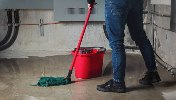 Best Water damage restoration process  in Lakeland, TN