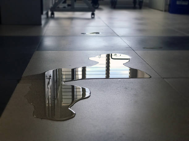 Best Commercial water damage restoration  in Lakeland, TN