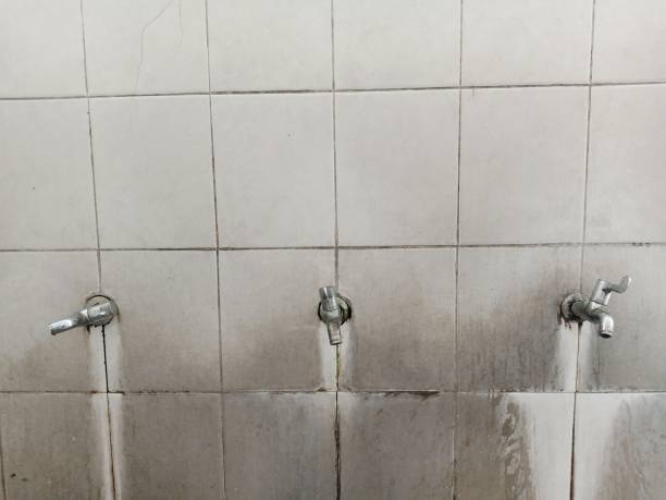Best Professional water damage repair  in Lakeland, TN
