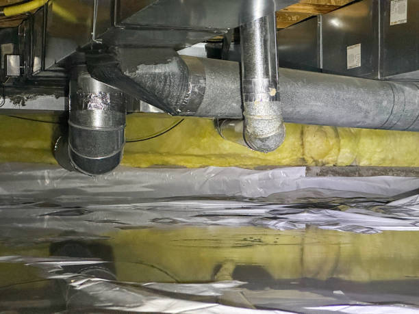 Best Sewage cleanup and water damage restoration  in Lakeland, TN