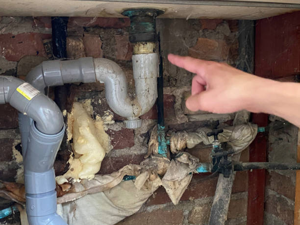 Best Mold removal after water damage  in Lakeland, TN